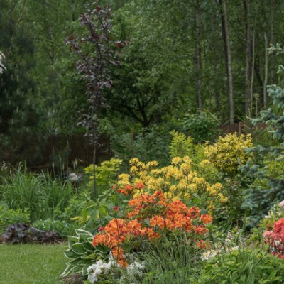 KOLOROWY ZAWROT GLOWY