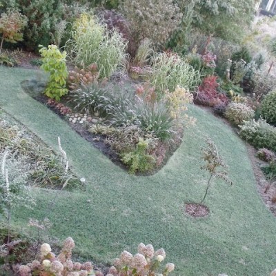 OGRÓD MROZEM MALOWANY