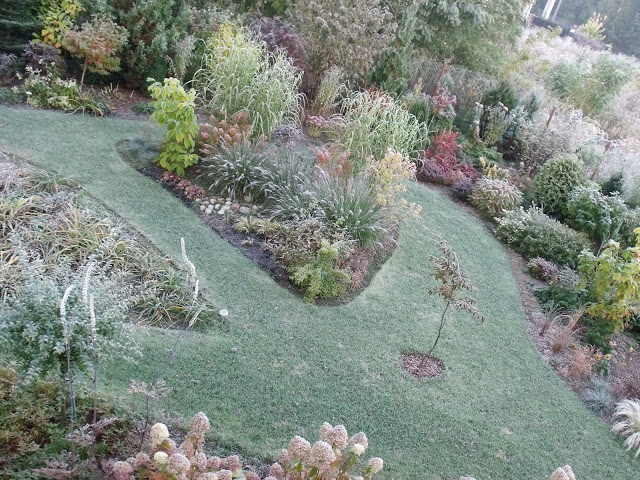 OGRÓD MROZEM MALOWANY