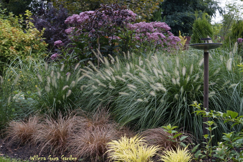 KOLORY PÓŹNEGO LATA W WILCZEJ….