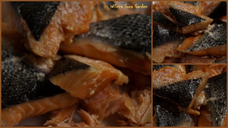 ŁOSOSIOWA PASTA DO KANAPEK