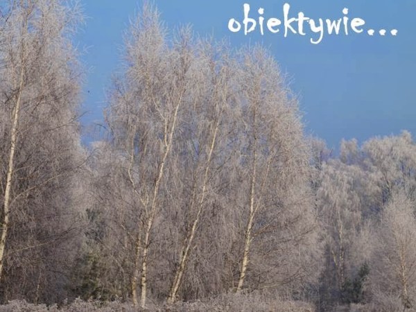 Nasza okolica w mroźnym obiektywie…