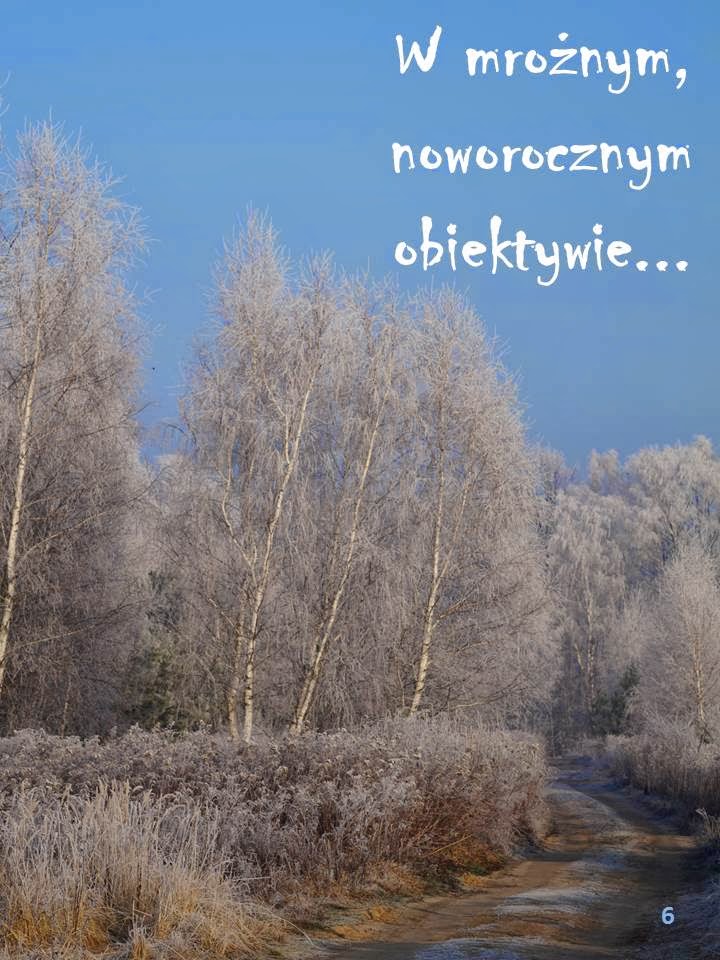 Nasza okolica w mroźnym obiektywie…