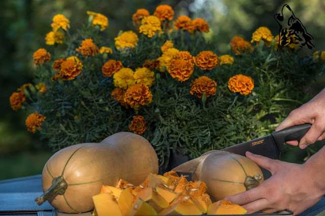 ROZGRZEWAJĄCA ZUPA – KREM Z DYNI I&nbsp;ZIEMNAKÓW