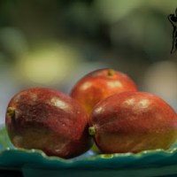 KOKOSOWY KOKTAJL Z&nbsp;MANGO