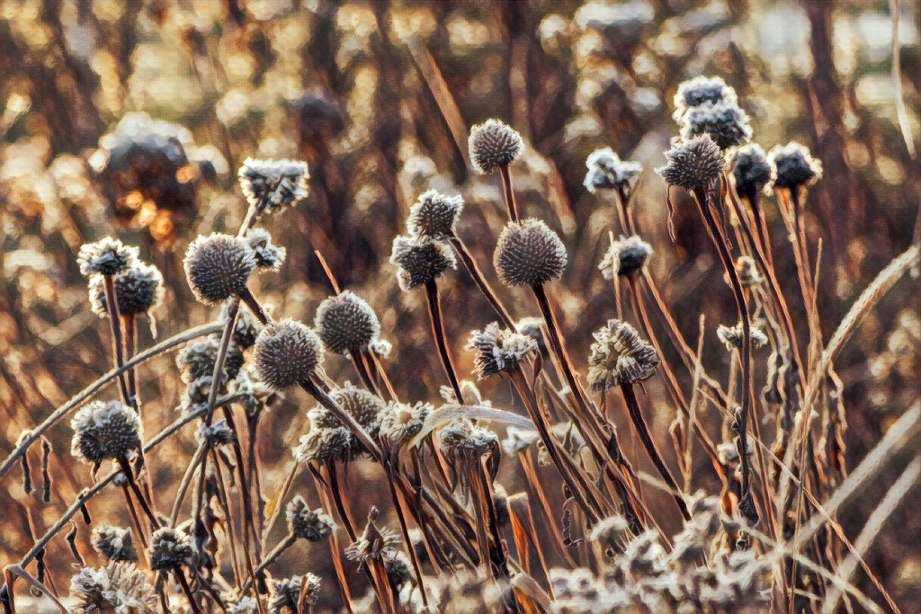 EGOIZM BRAT ALTRUIZMU