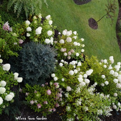 NASZ OGRÓD W OBIEKTYWIE SOBOTNIEGO&nbsp;PORANKA