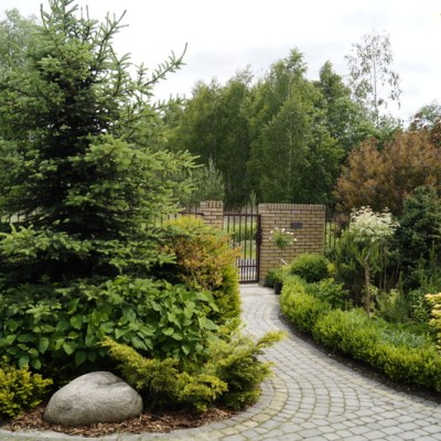 POCZATEK CZERWCA W NASZYM&nbsp;OGRODZIE