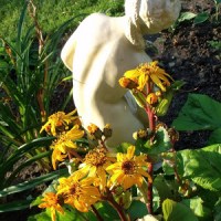 AFRODYTA – MÓWIMY NA NIĄ „FREDKA”