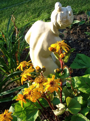 AFRODYTA – MÓWIMY NA NIĄ „FREDKA”