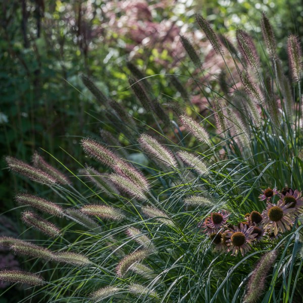A ONA PIĘKNA PRZEZ CAŁY OKRĄGŁY ROK&nbsp;…