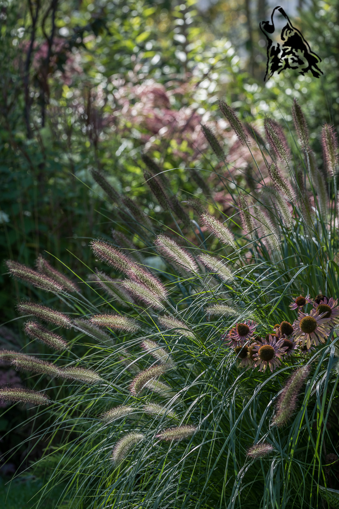 A ONA PIĘKNA PRZEZ CAŁY OKRĄGŁY ROK&nbsp;…