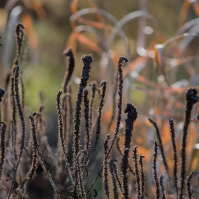 ZOBACZYĆ NIEWIDOCZNE …