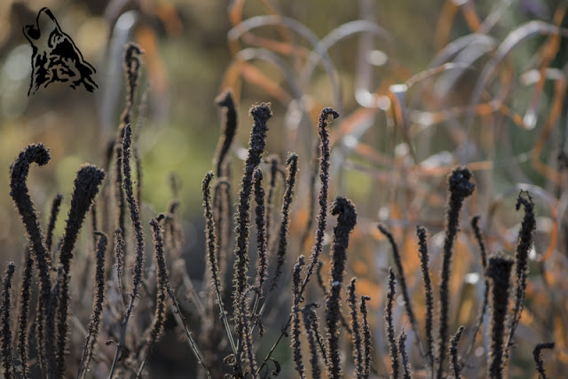 ZOBACZYĆ NIEWIDOCZNE …