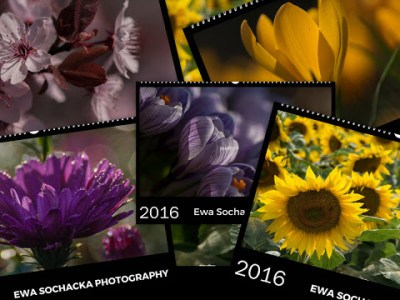 MOJE KWIATOWE KALENDARZE&nbsp;2016