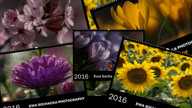 MOJE KWIATOWE KALENDARZE 2016