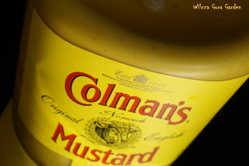 PASTA JAJECZNA DO KANAPEK