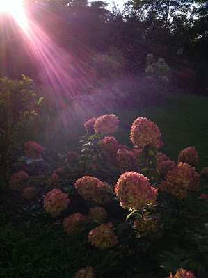 PROMIENIE SŁOŃCA W ROLI GŁÓWNEJ…