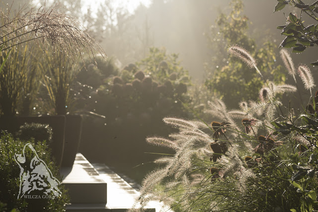 SKORO WRZESIEN, TO JUZ&nbsp;JESIEN….