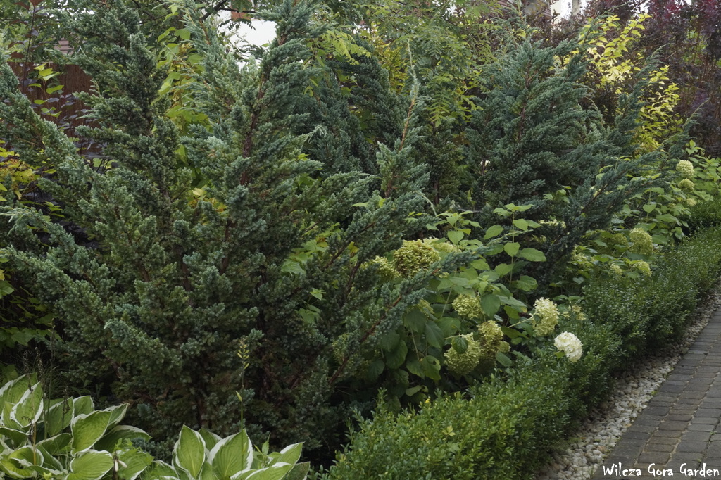 KIEDY PRZESTAŁ PADAĆ DESZCZ …