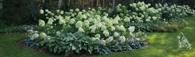 WSPANIALE WYKONCZONE RABATY – FUNKIE