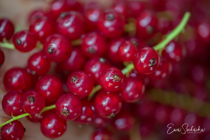 SŁODKIE CZY KWAŚNE ? NIE WAŻNE. MOJE UKOCHANE CZERWONE&nbsp;KULKI.