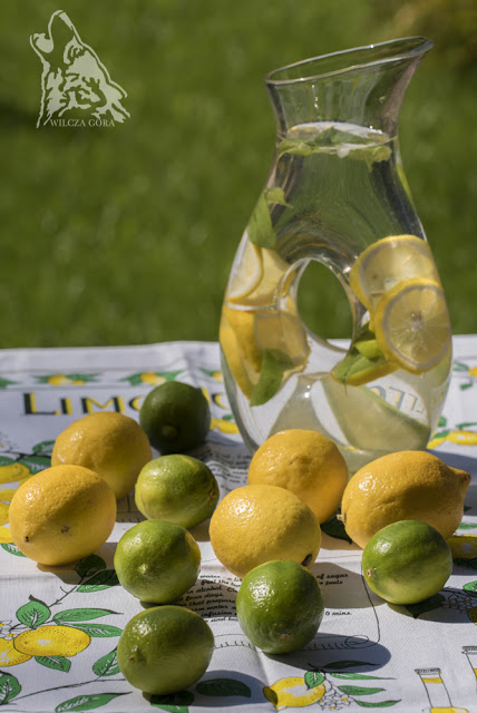 CYTRYNOWA LEMONIADA Z MIĘTĄ I&nbsp;MIODEM