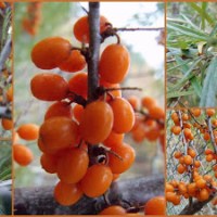 NASZA ZIMOWA STOŁÓWKA DLA BRACI&nbsp;MNIEJSZYCH