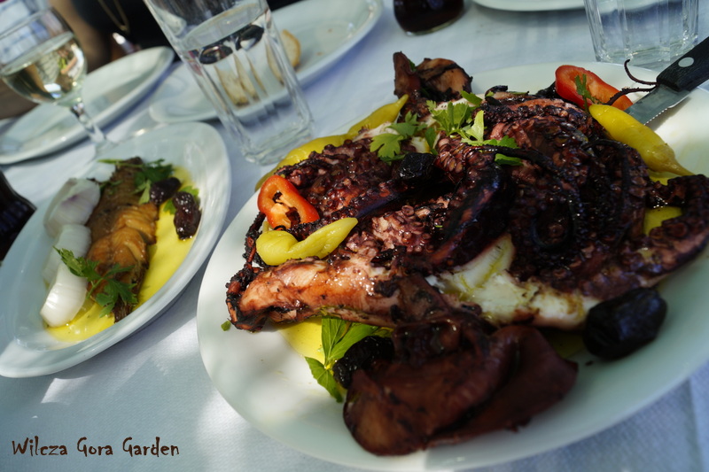 GRECJA, CIESNINA DARDANELE – NIEZAPOMNIANY LETNI&nbsp;LUNCH