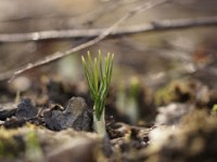 ZAPALIŁA SIĘ ZIELONA&nbsp;LAMPKA