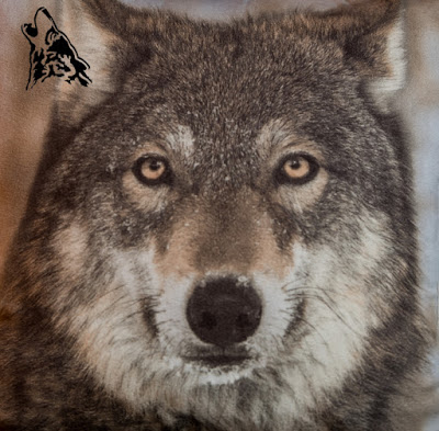 WILCZY SKOK W NOWY&nbsp;ROK