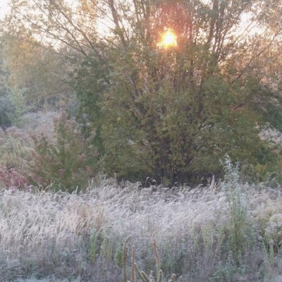 PIERWSZY MROŹNY PORANEK TEJ&nbsp;JESIENI…