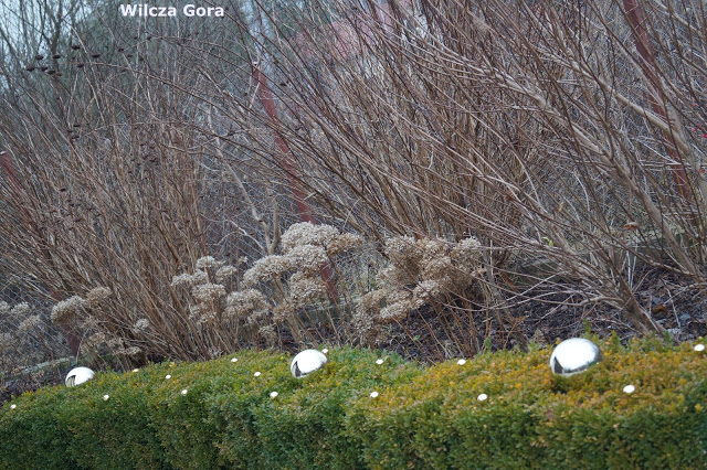 SWIATECZNY OGROD – ZLOTE KULE I&nbsp;KULECZKI…