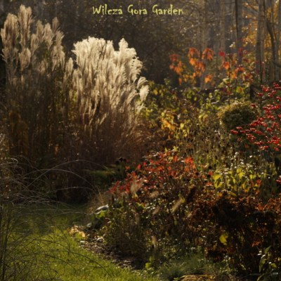 JESIENNY SPACER PO&nbsp;OGRODZIE