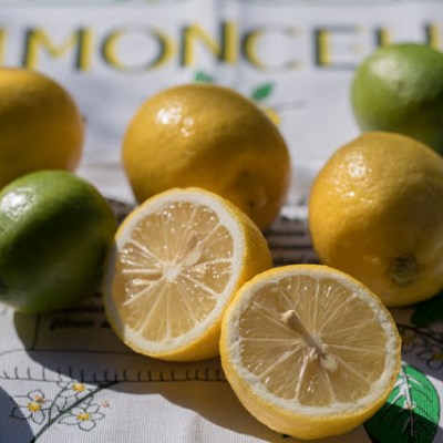 24 GODZINNA CYTRYNÓWKA