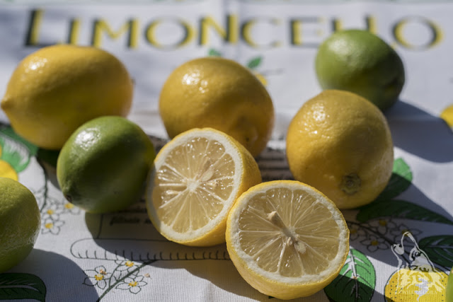 24 GODZINNA CYTRYNÓWKA