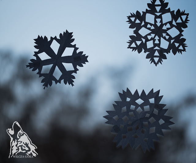 DEKORUJĘ ŚWIAT W MOICH&nbsp;OKNACH