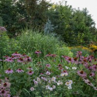 ULUBIONA RABATA SEZONU