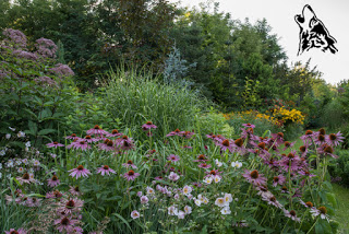 ULUBIONA RABATA SEZONU