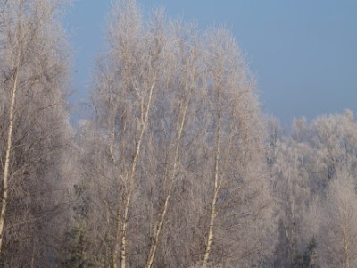 SPACER DO BIALEGO&nbsp;LASU