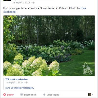 MILA OGRODOWA NIESPODZIANKA