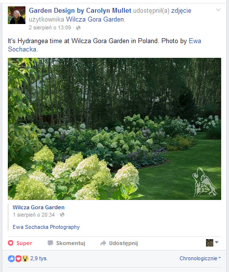 MILA OGRODOWA NIESPODZIANKA