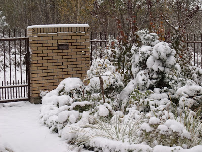 OSTATNIE DNI PAŹDZIERNIKA – PIERWSZY DZIEŃ ZE ŚNIEGIEM