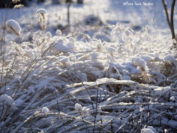 KRYSZTAŁKOWO … ZANIM ZNIKNĄŁ&nbsp;ŚNIEG…
