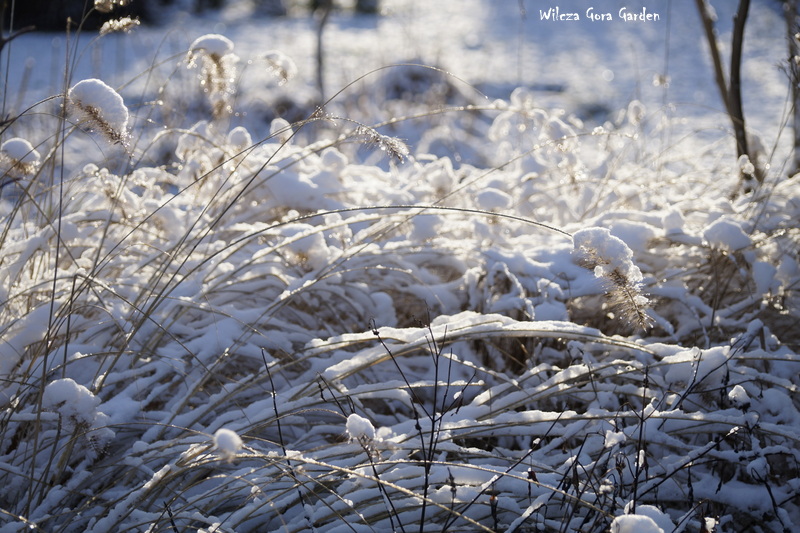 KRYSZTAŁKOWO … ZANIM ZNIKNĄŁ&nbsp;ŚNIEG…
