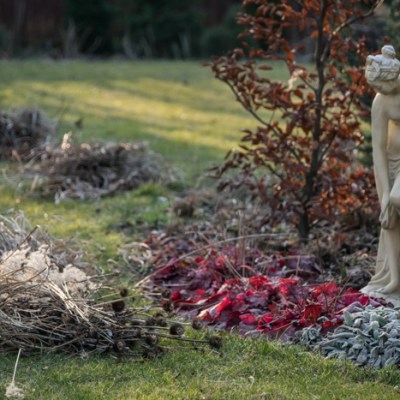 WIOSENNY, OGRODOWY FRYZJER&nbsp;…