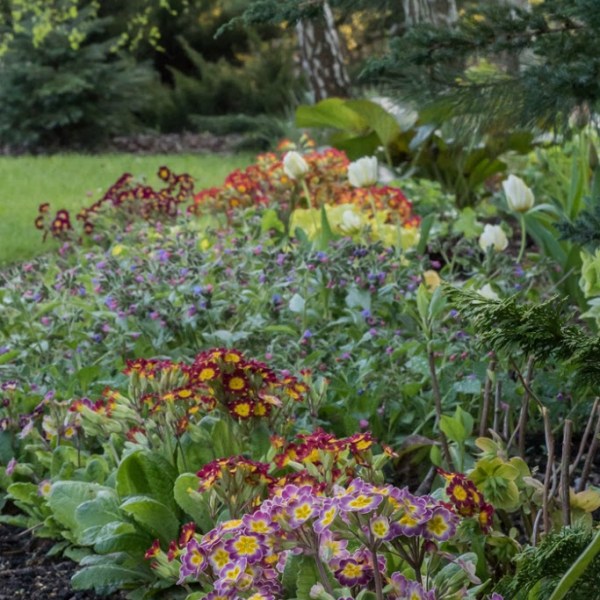 NAJ – PIER –&nbsp;WIOSNKI