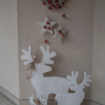 RAJSKIE JABLUSZKA EWY