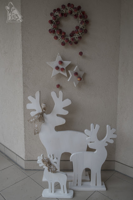 RAJSKIE JABLUSZKA EWY