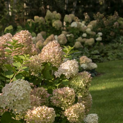 KONIEC LATA W NASZYM&nbsp;OGRODZIE